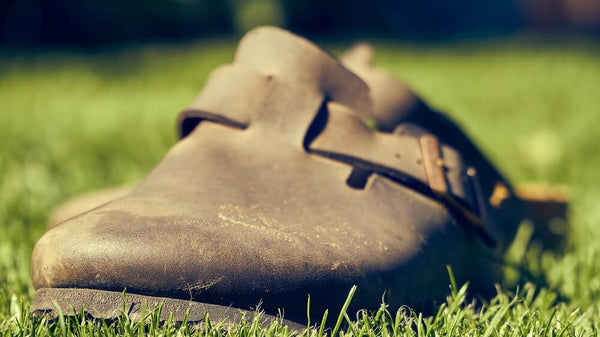 An old Birkenstock Boston shoe in mocca leather