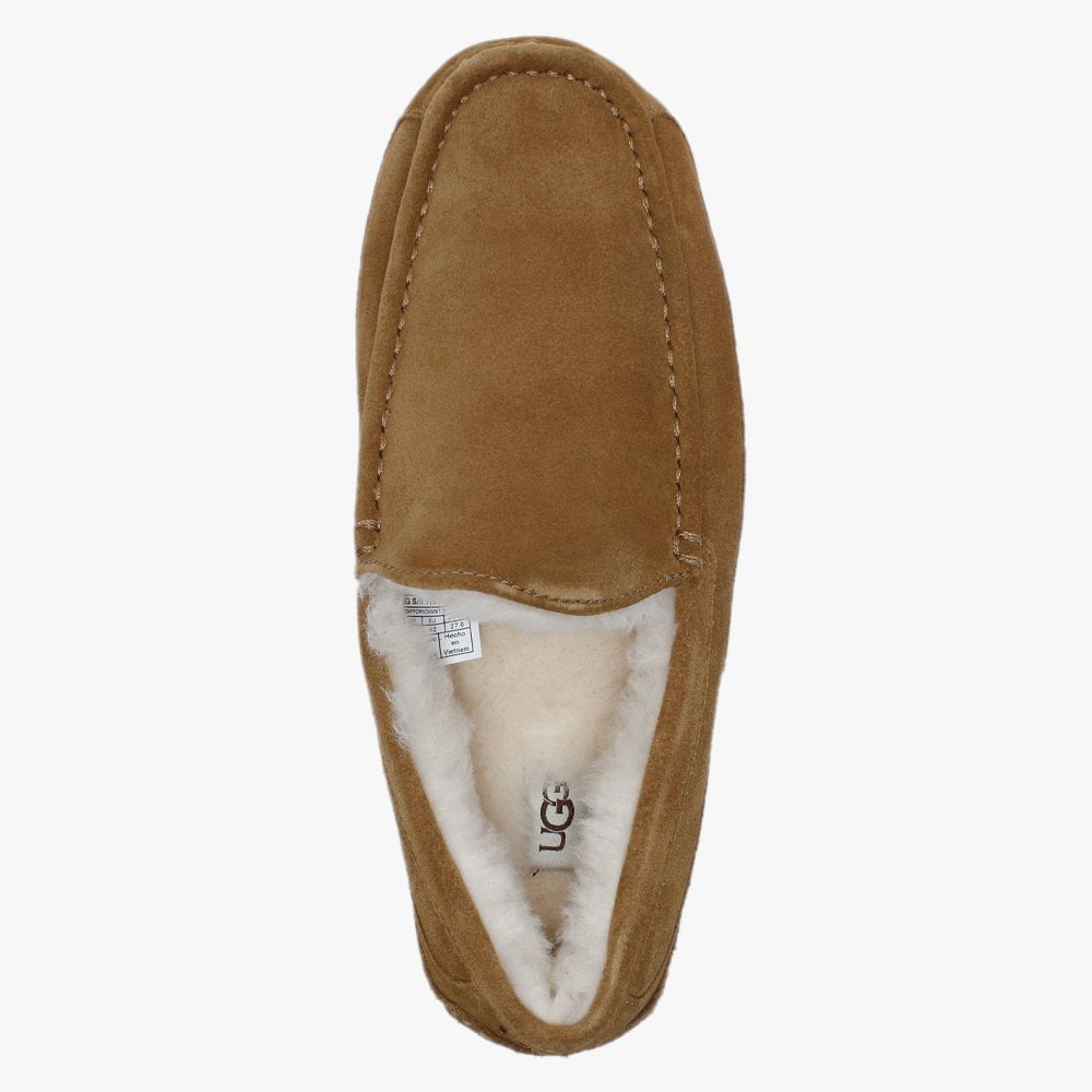 Men’s Ascot Chestnut Suede Shearling Slippers