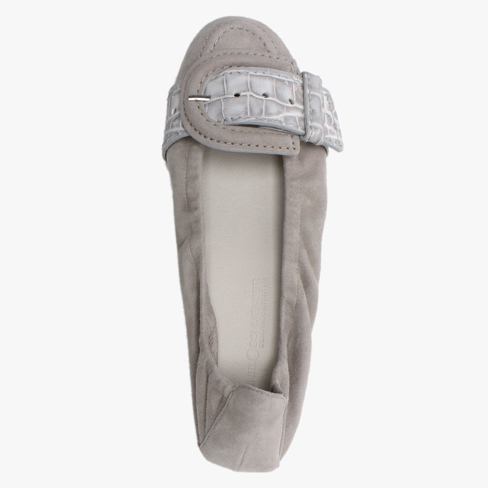 Malu II Grey Suede Reptile Buckle Ballet Pumps