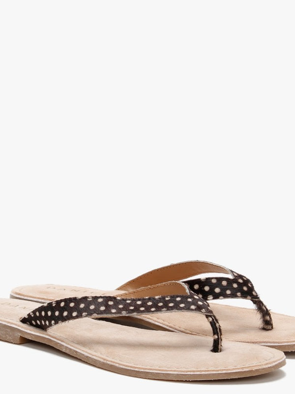 Zenda Brown Polka Dot Calf Hair Toe Post Sandals