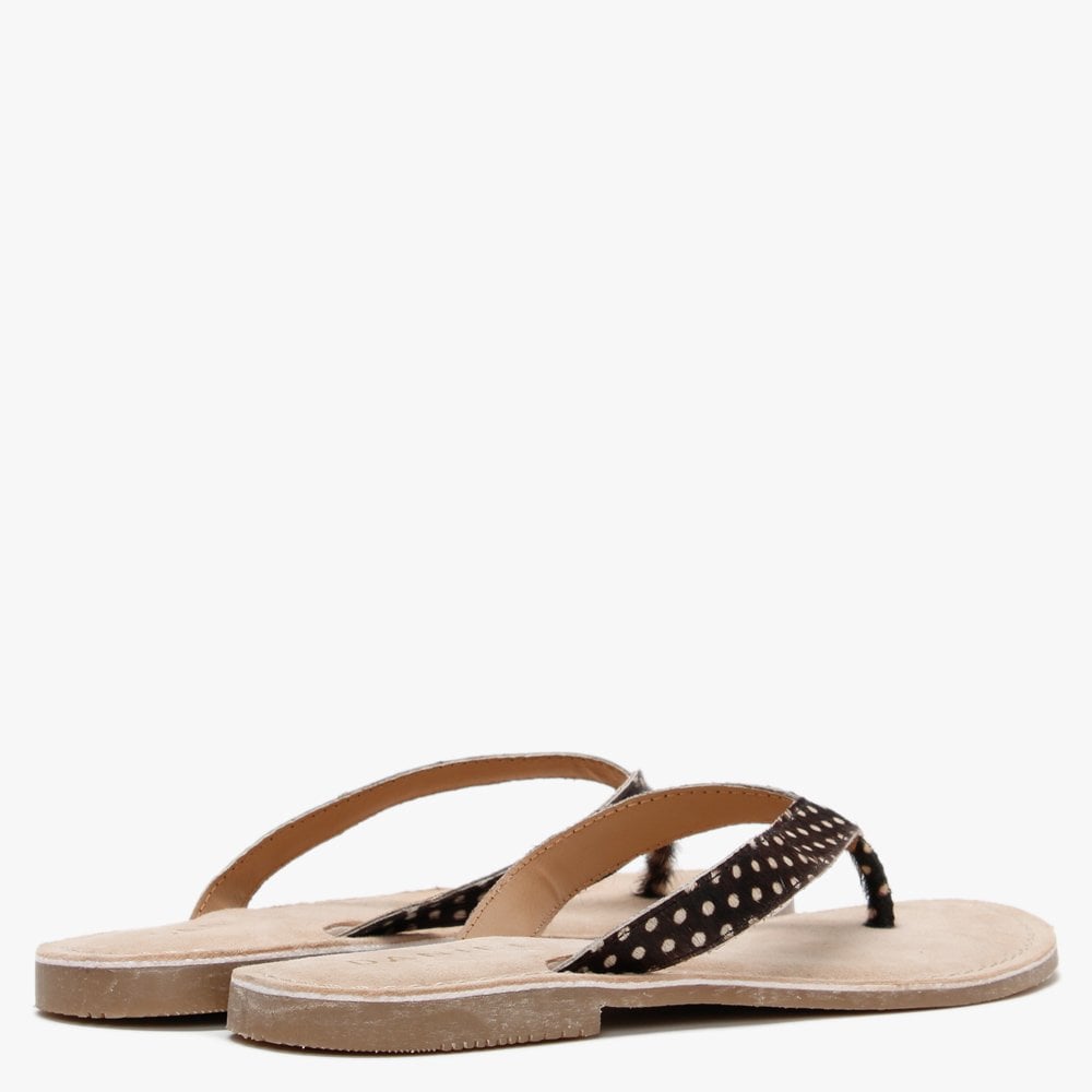 Zenda Brown Polka Dot Calf Hair Toe Post Sandals