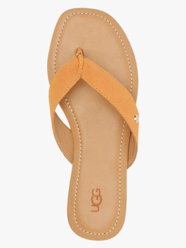 Tuolumne California Poppy Suede Flip Flops