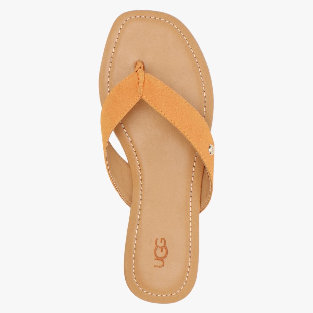 Tuolumne California Poppy Suede Flip Flops