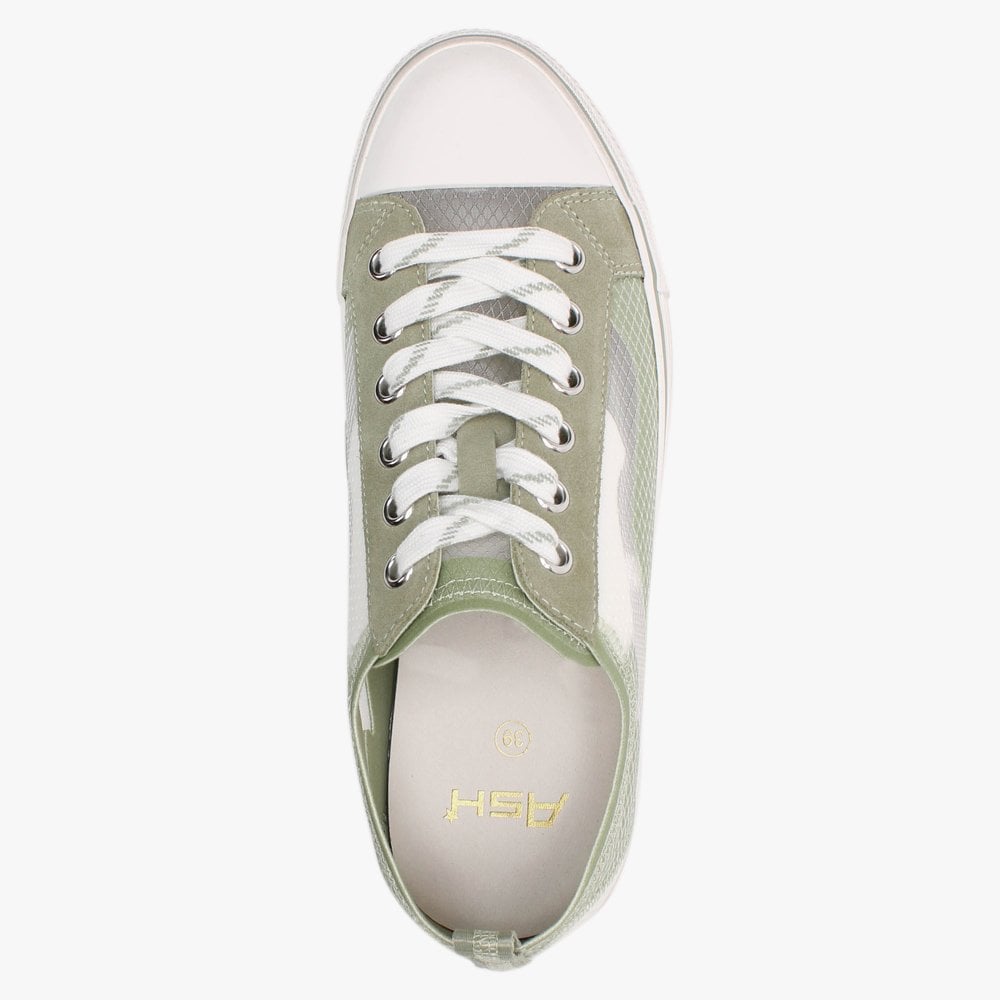 Vertu Transparent White & Tea Lace Up Trainers