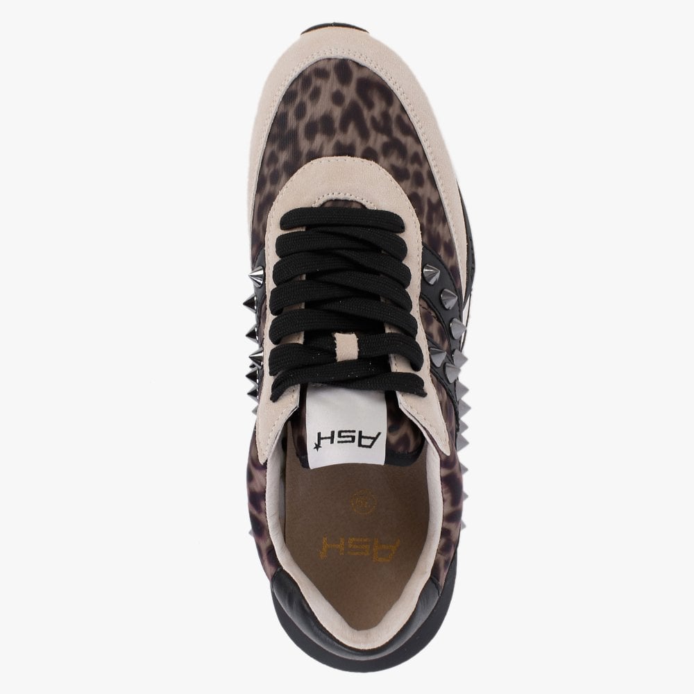 Spider 168 Studs Beige Leopard Eco Trainers