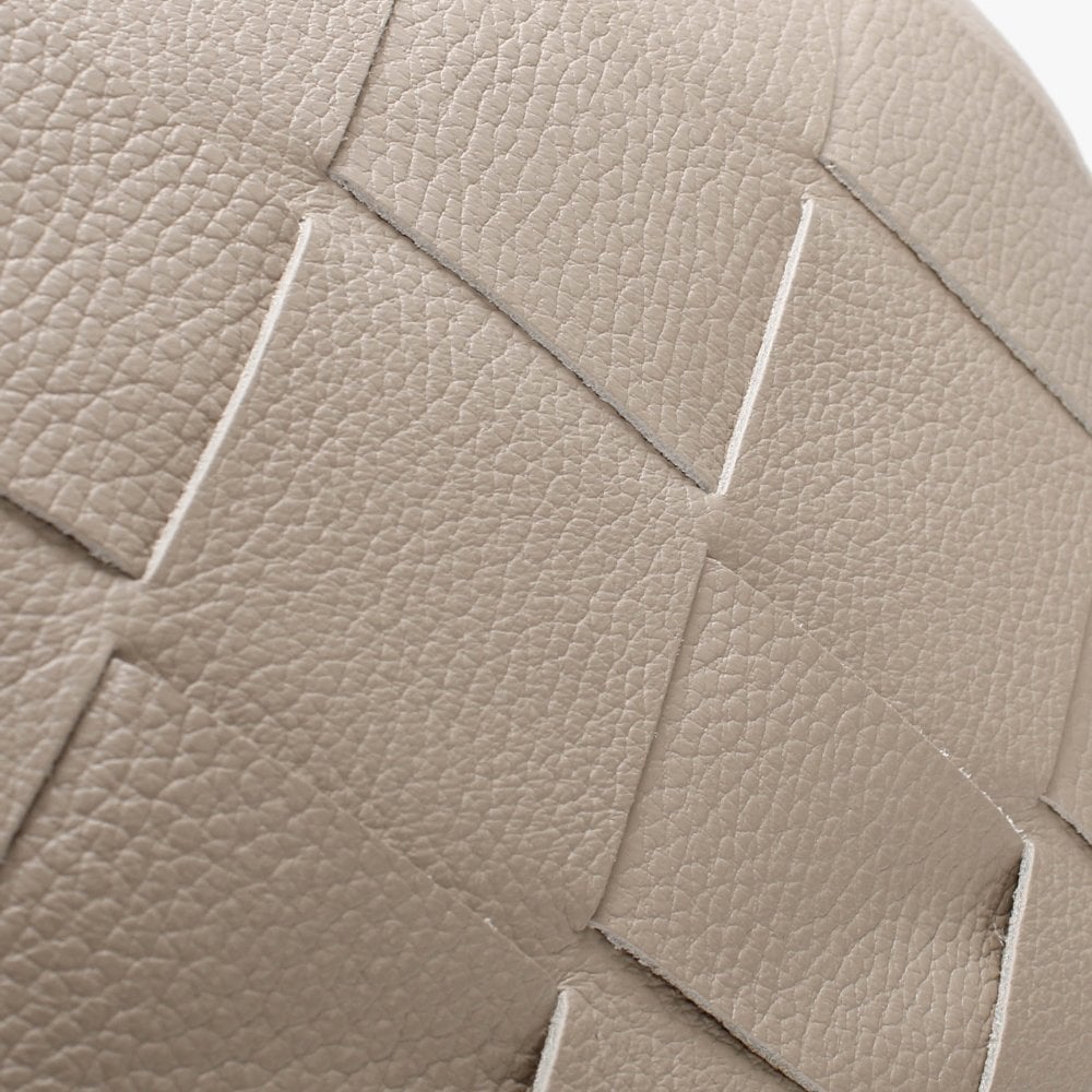 Dicam Taupe Leather Woven Camera Bag