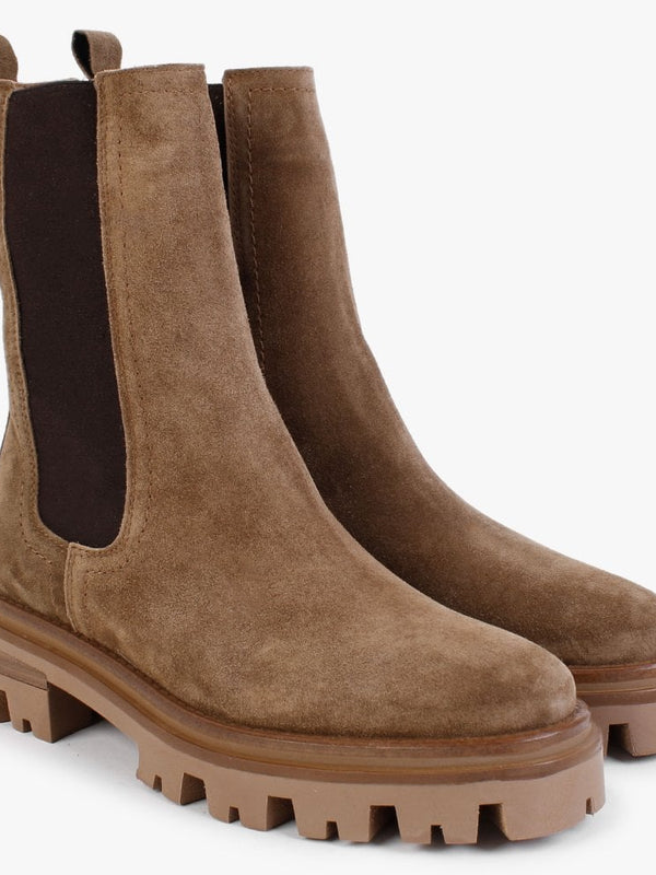 Chervil Tan Suede Elongated Chelsea Boots
