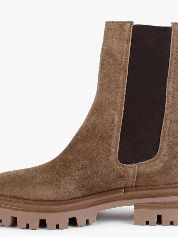 Chervil Tan Suede Elongated Chelsea Boots