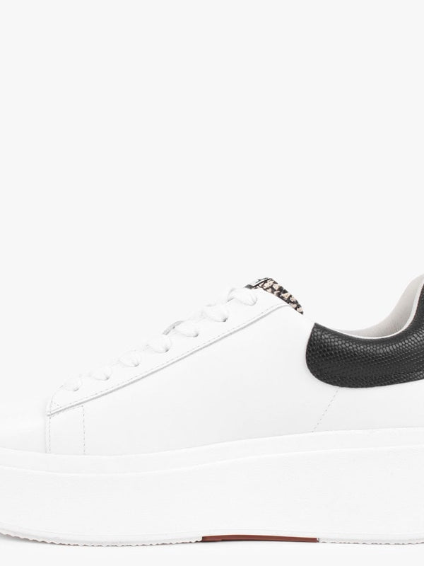 Moby White Roccia Black Leather Trainers