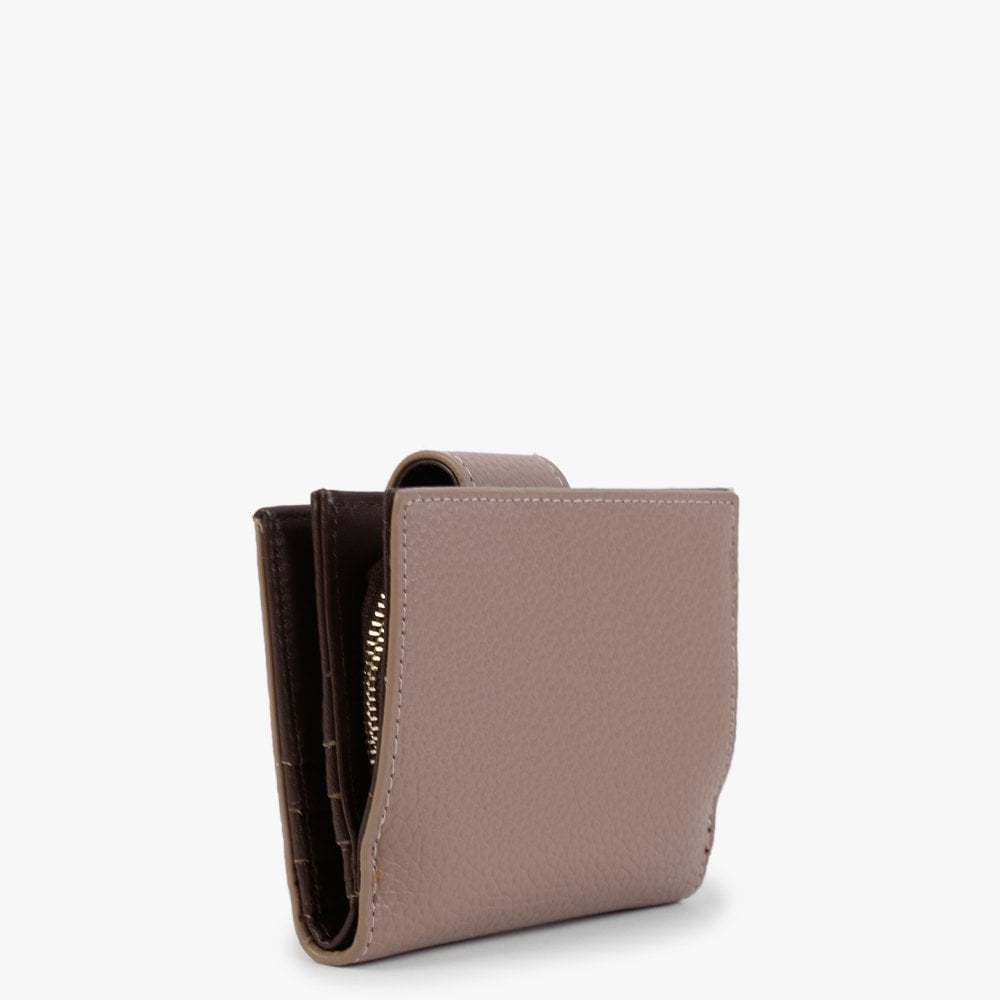 Alexia Camel Multicoloured Zip Around Purse
