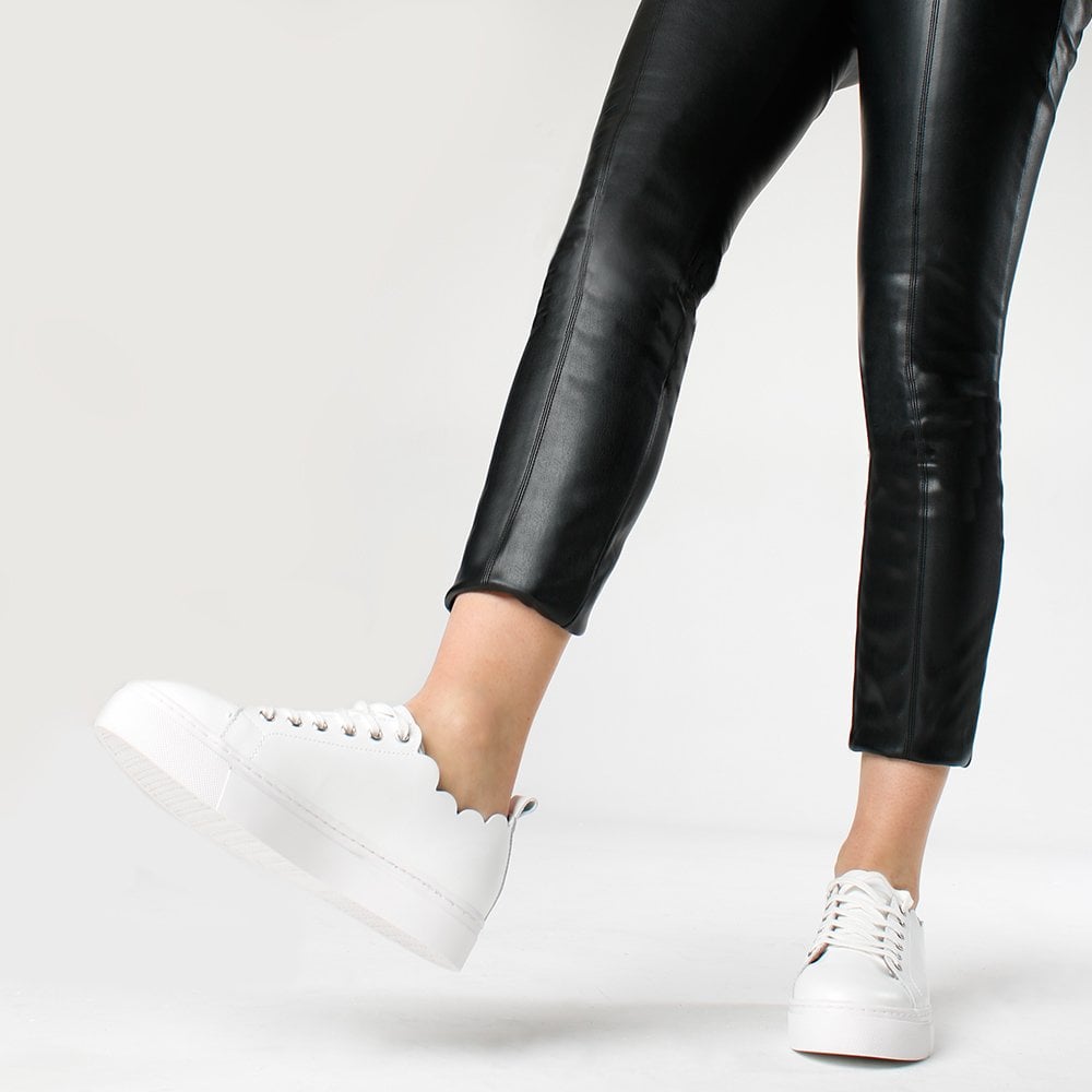 Scallop White Leather Trainers