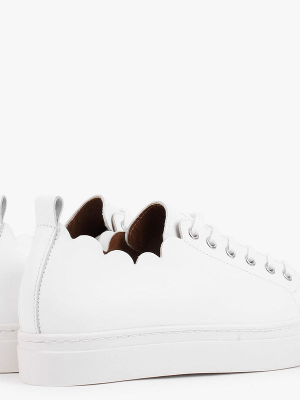 Scallop White Leather Trainers