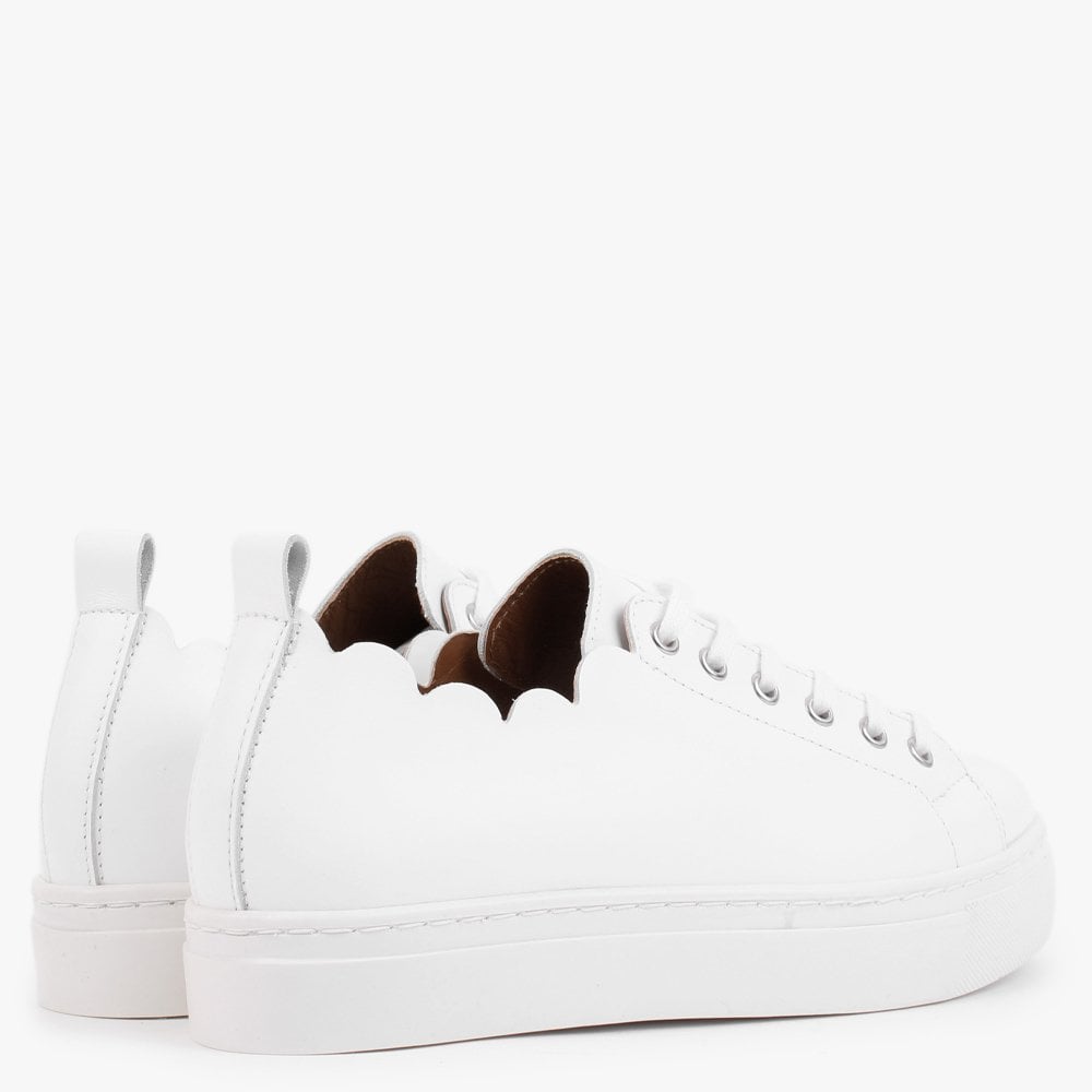Scallop White Leather Trainers