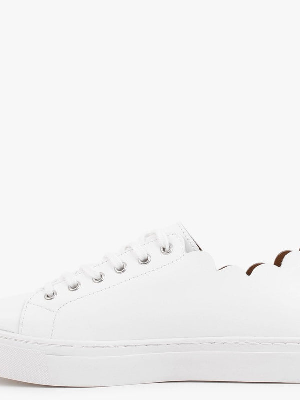 Scallop White Leather Trainers