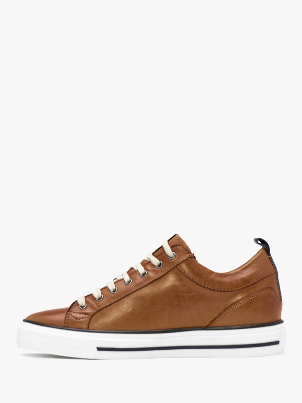 Brayleigh Tan Leather Trainers