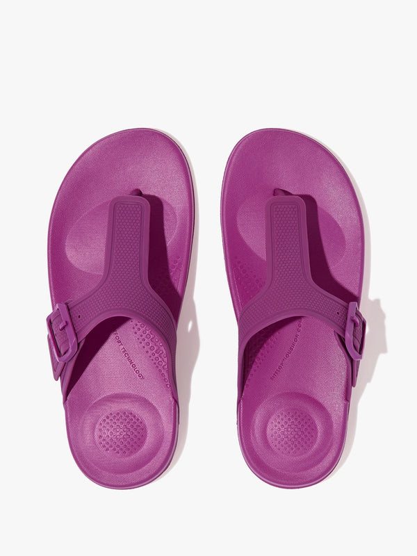 Iqushion Adjustable Buckle Miami Violet Flip Flops