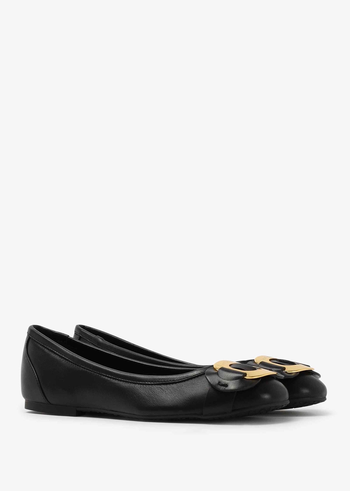 Chany Black Ballet Flats