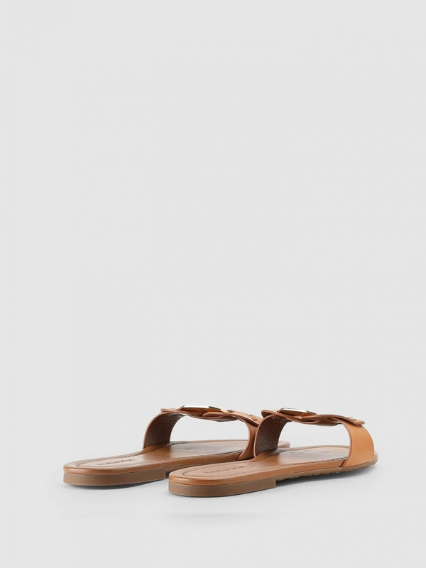 Chany Brown Slides