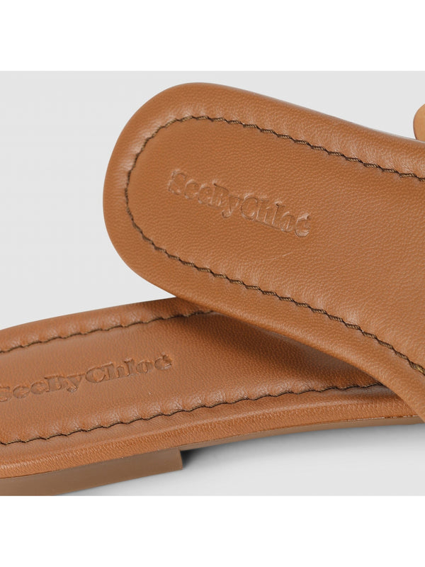 Chany Brown Slides