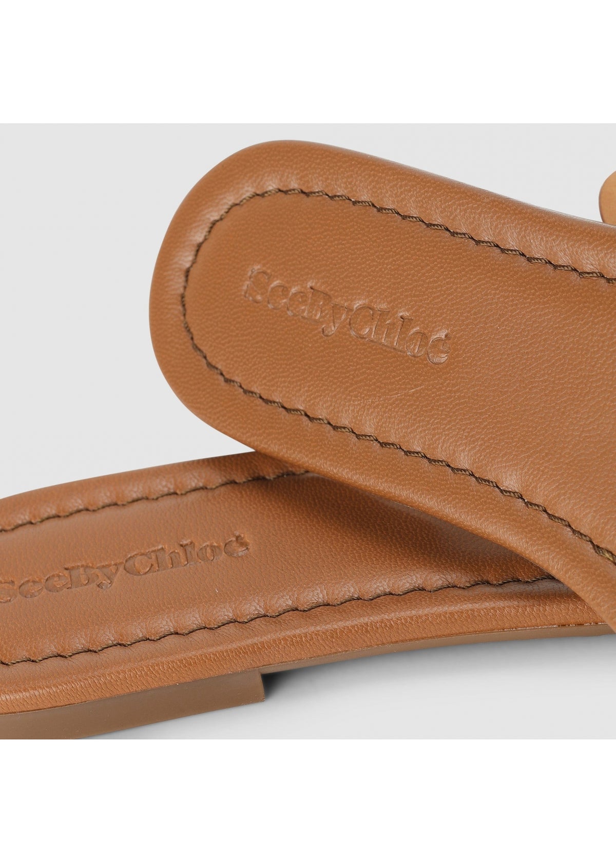 Chany Brown Slides