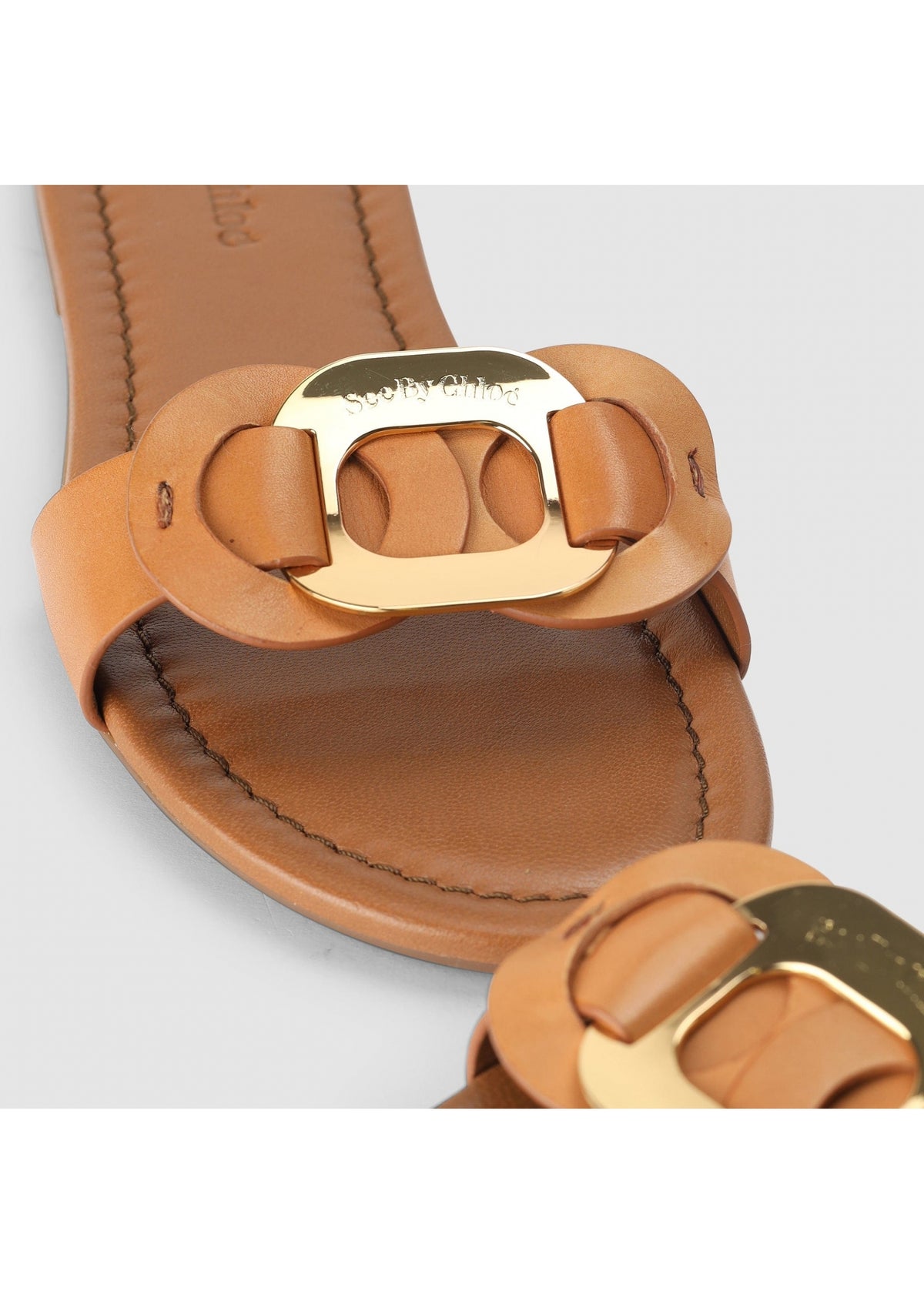 Chany Brown Slides