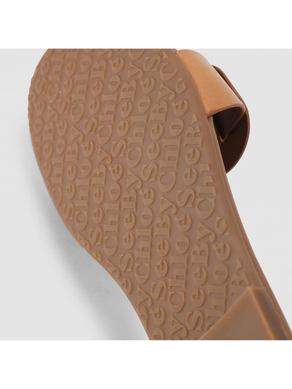 Chany Brown Slides