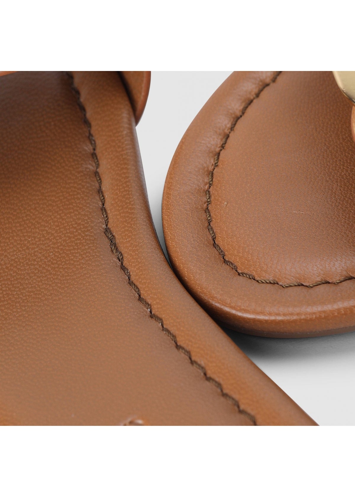 Chany Brown Slides