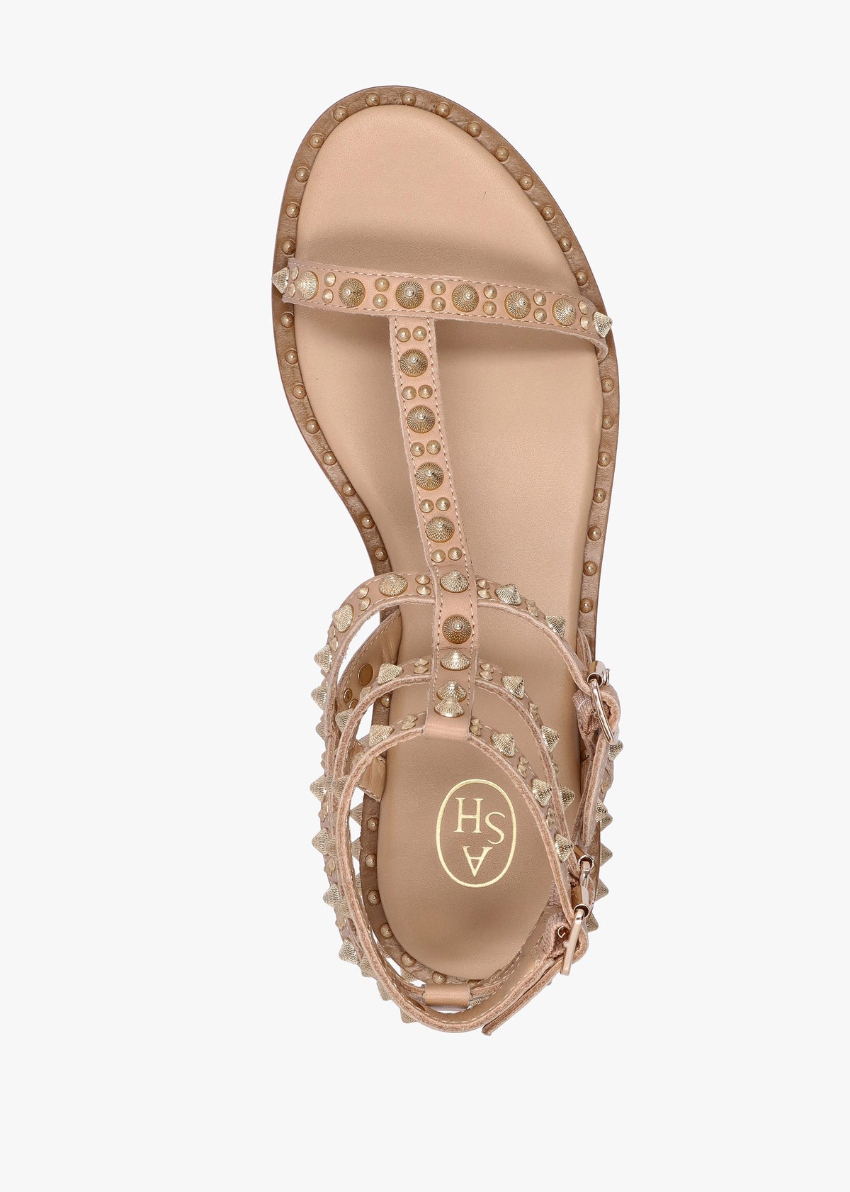 Pepper Skin Leather Studded Gladiator Sandals