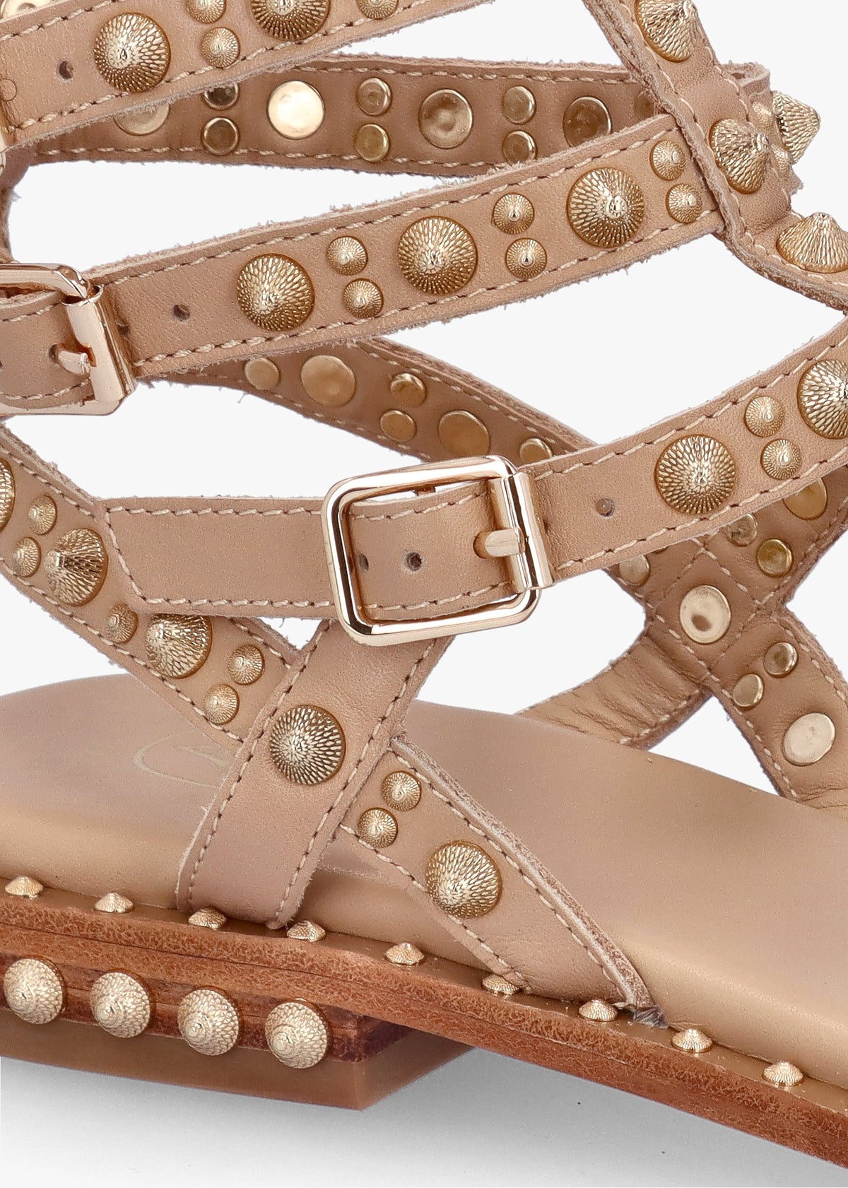 Pepper Skin Leather Studded Gladiator Sandals
