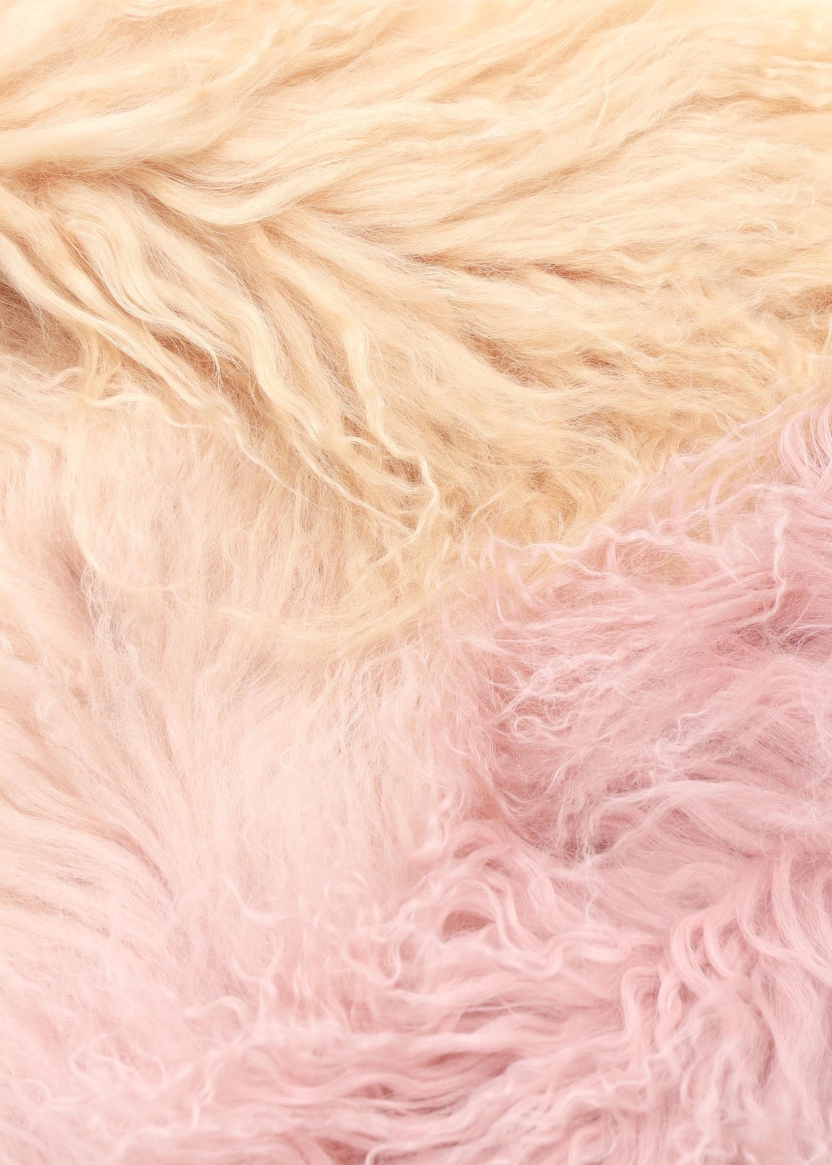 Pink Ombre Shaggy Mongolian Lambswool Scarf