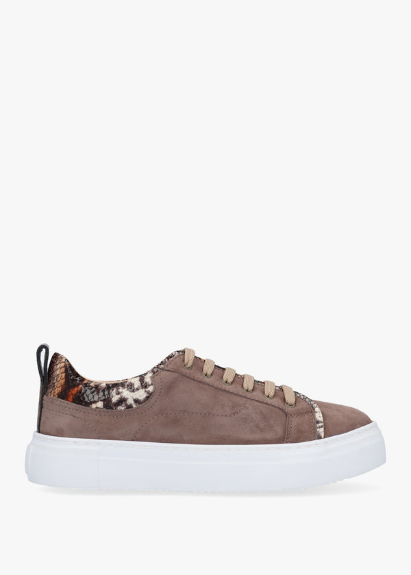 Panny Taupe Suede Reptile Trainers