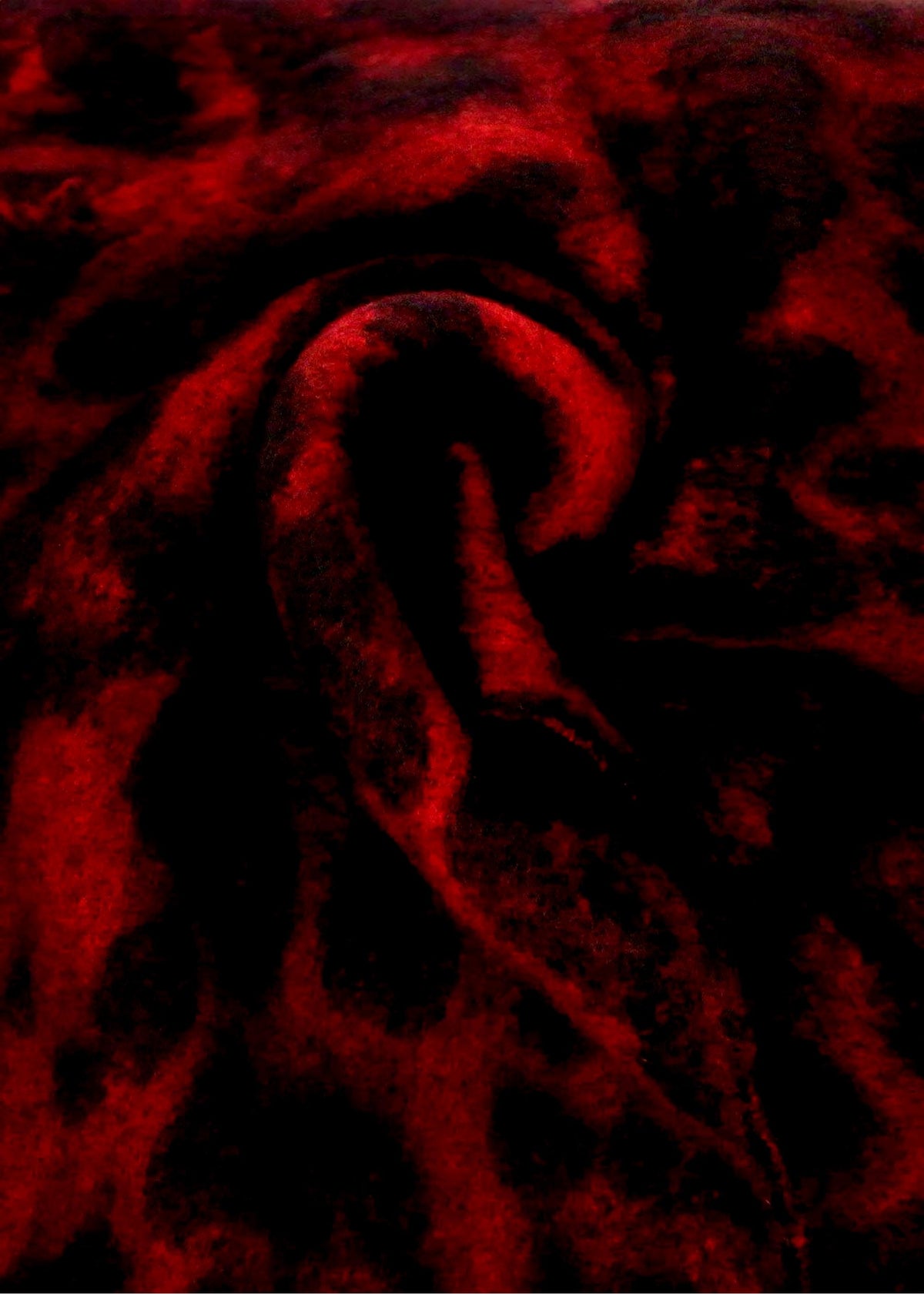 Diana Burgundy Leopard Print Scarf