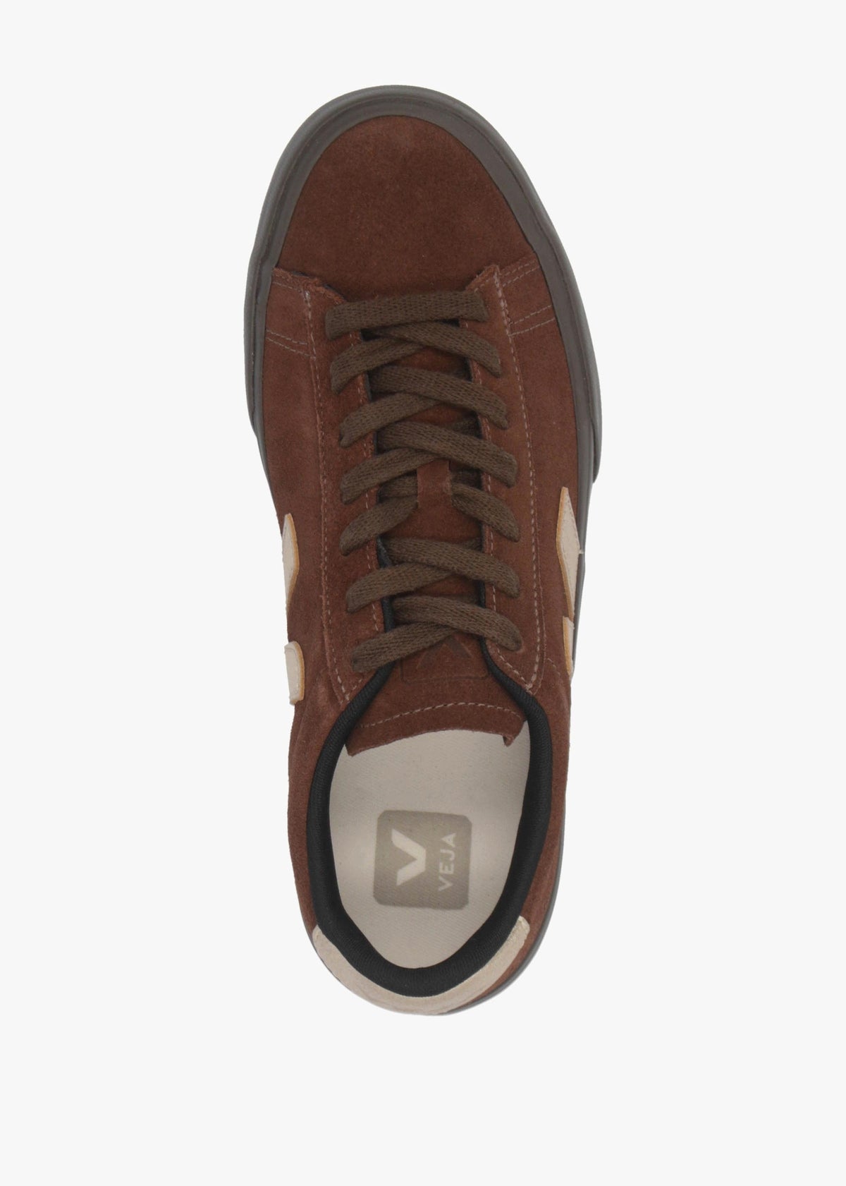 Women's Campo Suede Walnut Plantine Eagle Trainers
