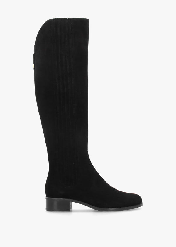 DANIEL Miele Black Suede Knee Boots