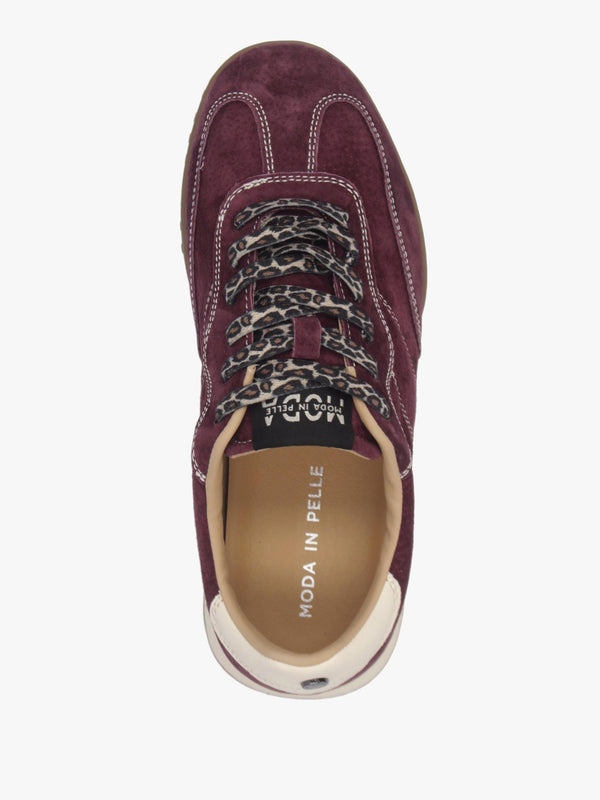 MODA IN PELLE Aveline Burgundy Suede Low Profile Trainers